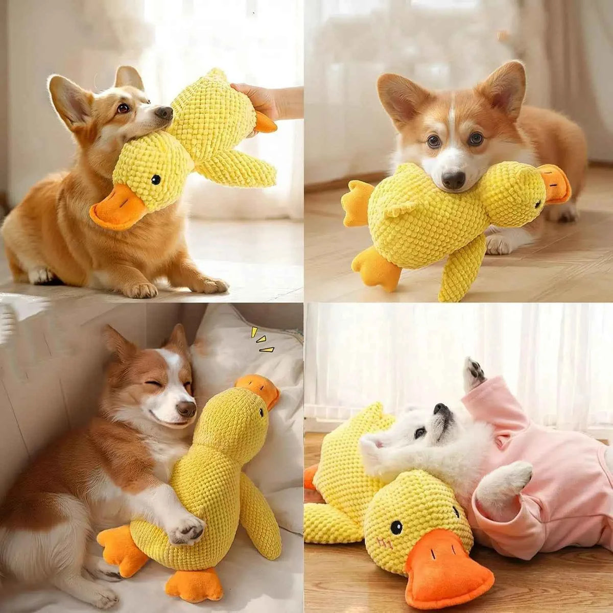 Durable Plush Duck Dog Toy – Quacking Fun for All Dogs