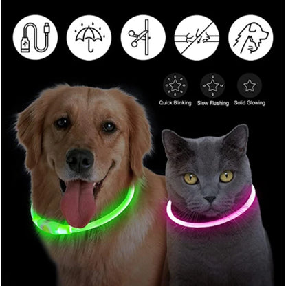 USB Rechargeable Led Glowing Dog Collar