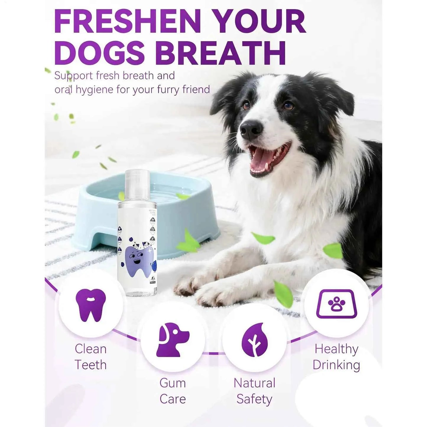 Dog Water Additive for Dental Health - 200ml Breath Freshener for Cats & Dogs