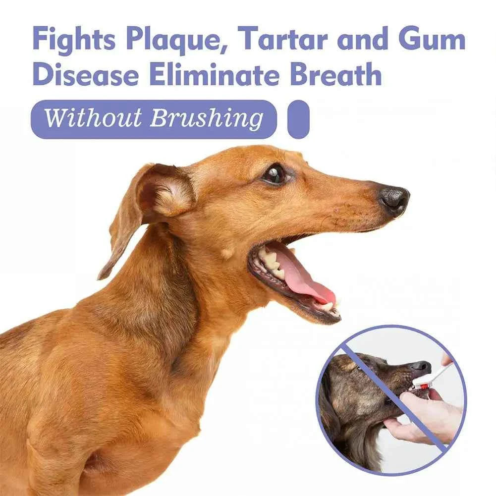 Pet Dental Spray for Fresh Breath – Eliminate Plaque and Tartar Build-Up
