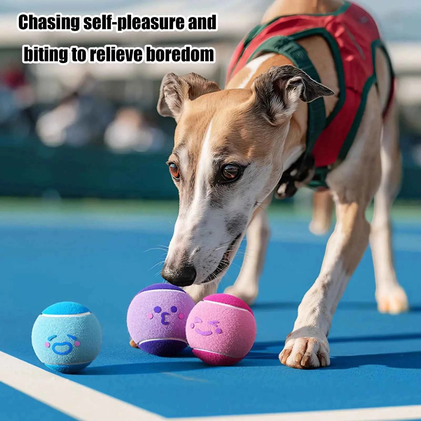 Dog Tennis Balls Set for Exercise - 6 Pack for Fetch and Play