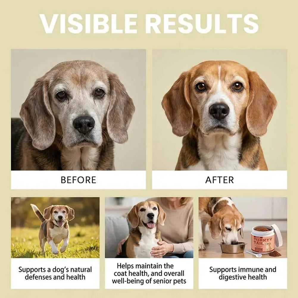 Dog Immune Support Powder - Daily Boost for a Healthy Immune System