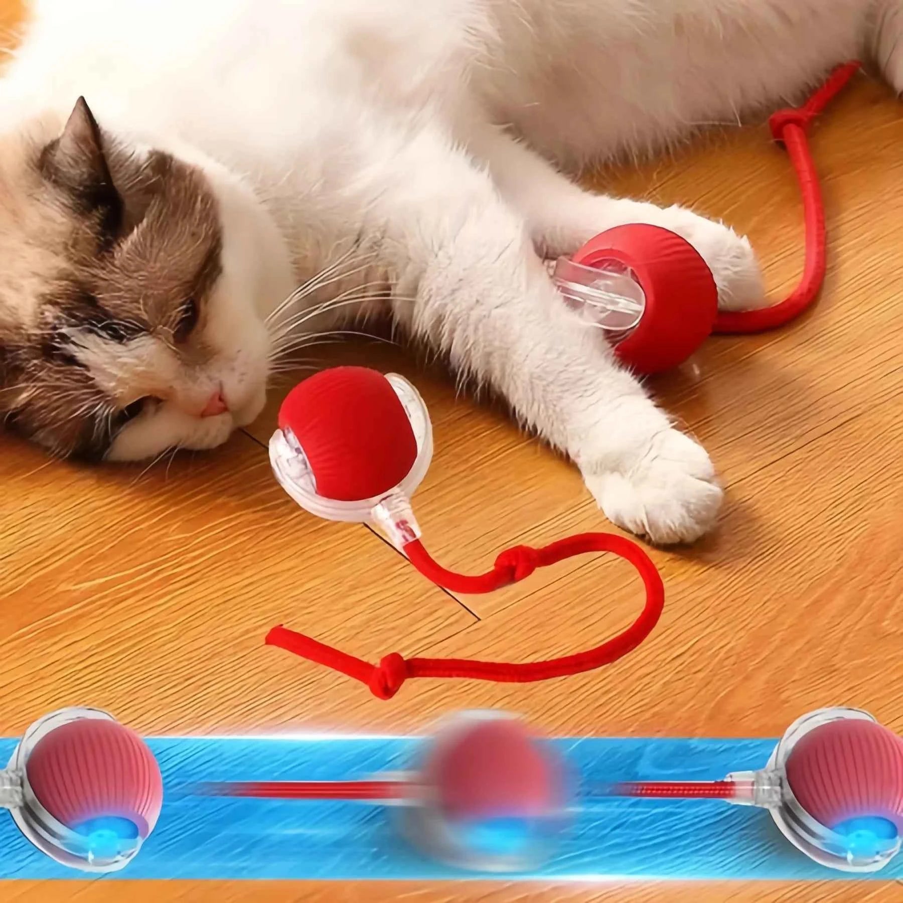 Transform Playtime with the Automatic Dog Walking Ball – Keep Your Pup Happy and Active!