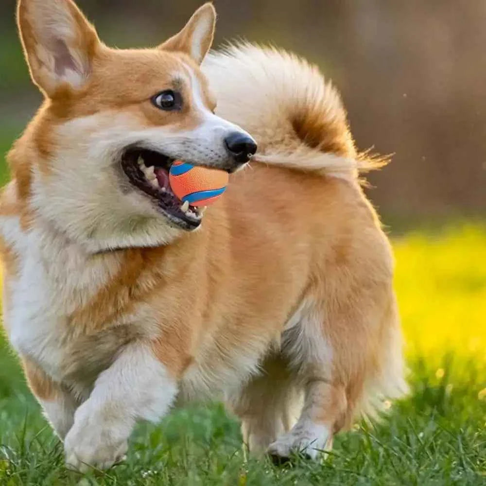 Tough Dog Fetch Ball Toy - Durable, Fun, and Perfect for All Breeds
