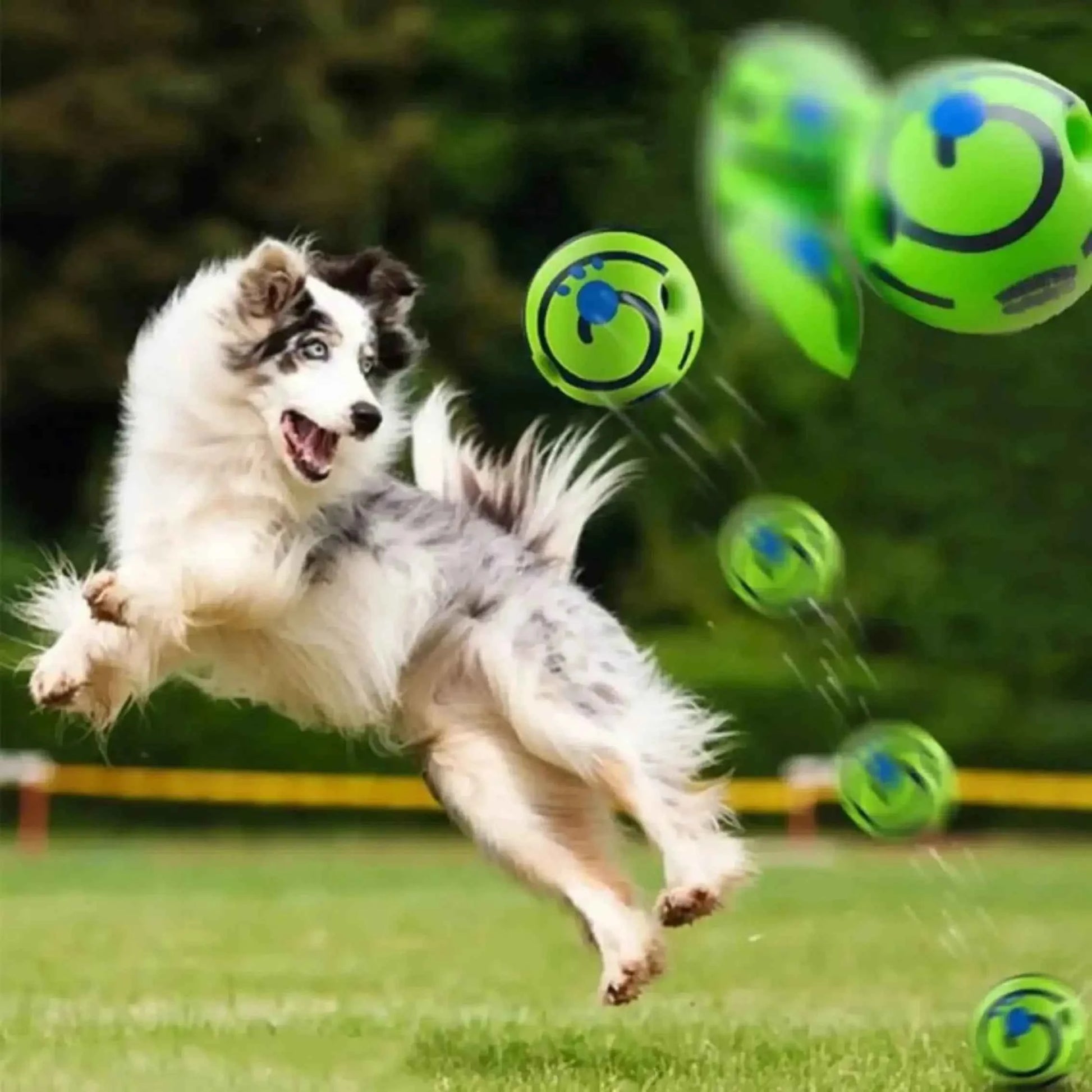 Interactive Giggle Ball for Dogs – Fun Pet Toy for Stimulating Play and IQ Training