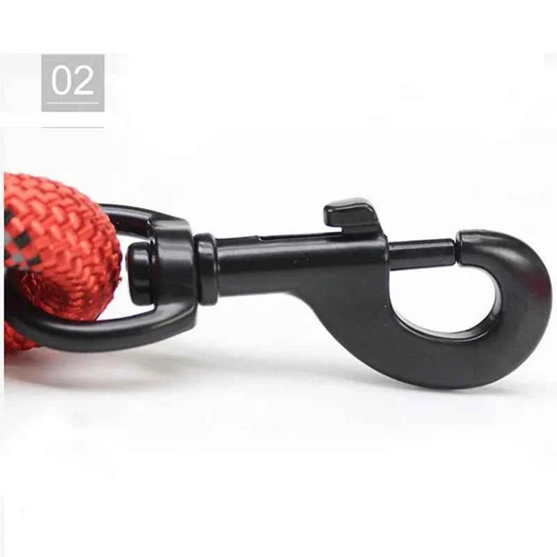 Reflective Dog Leash: Your Ultimate Safety Companion for Evening Walks
