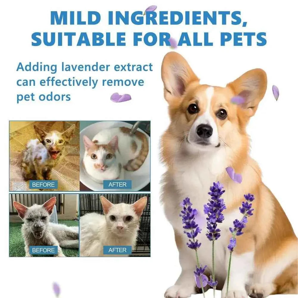 3-in-1 Pet Grooming Steamer Brush: Effortlessly Remove Tangles and Pamper Your Pet
