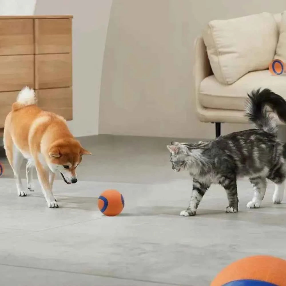 Tough Dog Fetch Ball Toy - Durable, Fun, and Perfect for All Breeds