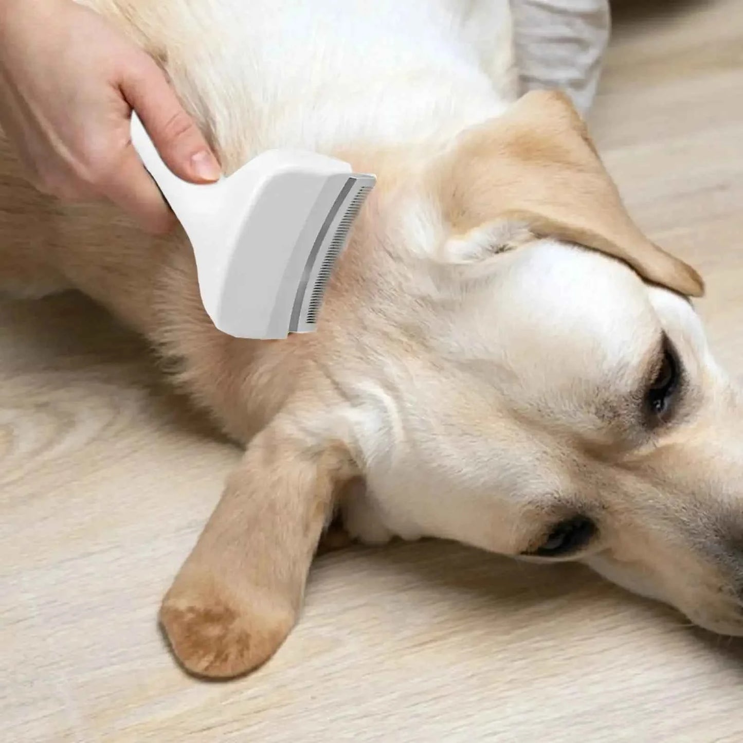 Transform Your Pet's Coat with the Ultimate Deshedding Slicker Brush for Pets