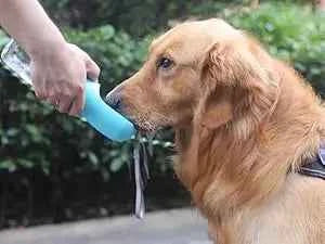 Portable Dog Water Bottle & Food Container: Ultimate Travel Solution for Pets