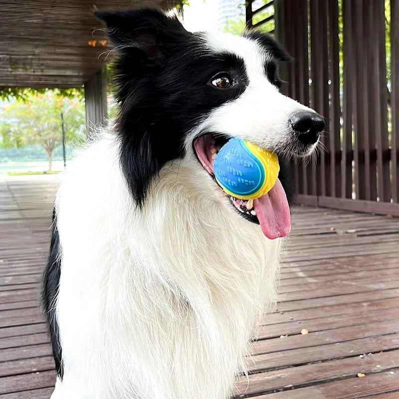 Interactive Dog Toys: Squeaky TPR Ball for Teeth Cleaning and Playtime Fun