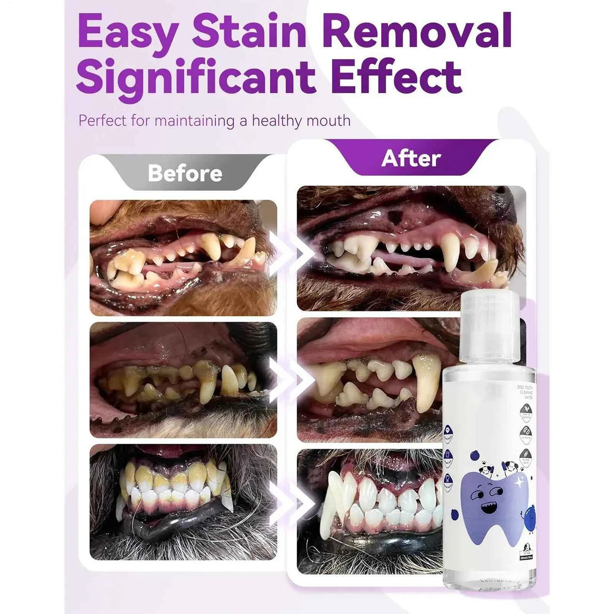 Dog Water Additive for Dental Health - 200ml Breath Freshener for Cats & Dogs
