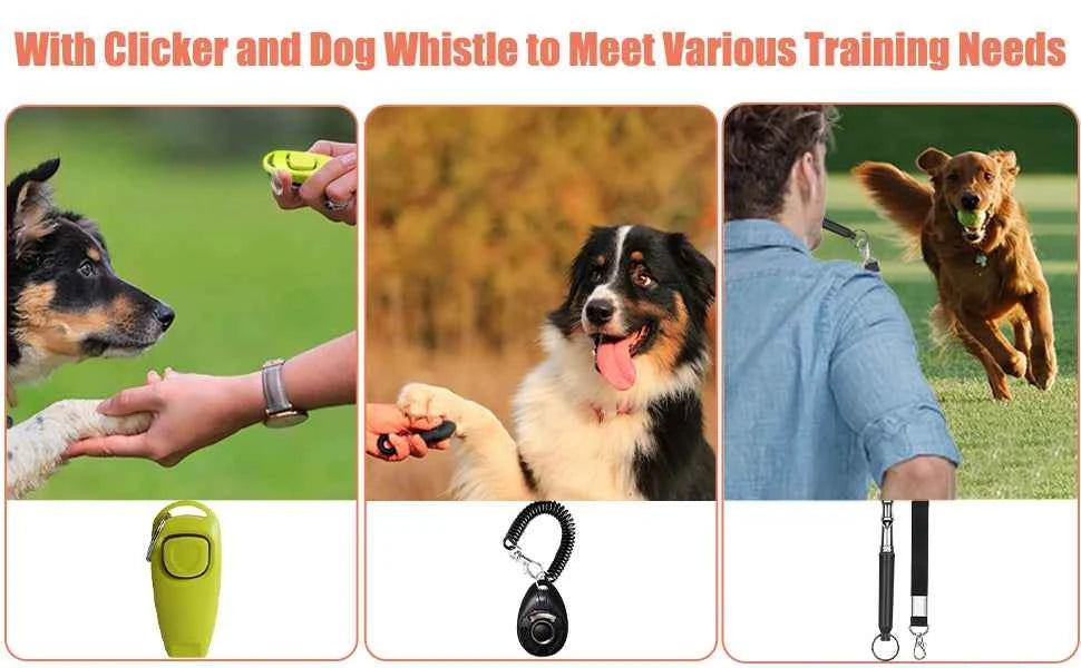 Complete Dog Training Kit: Everything You Need for Effective Training