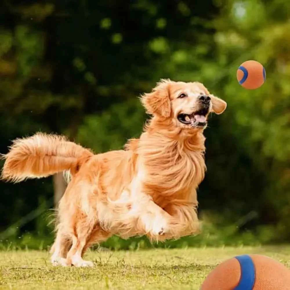 Tough Dog Fetch Ball Toy - Durable, Fun, and Perfect for All Breeds