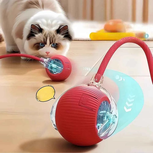 Transform Playtime with the Automatic Dog Walking Ball – Keep Your Pup Happy and Active!