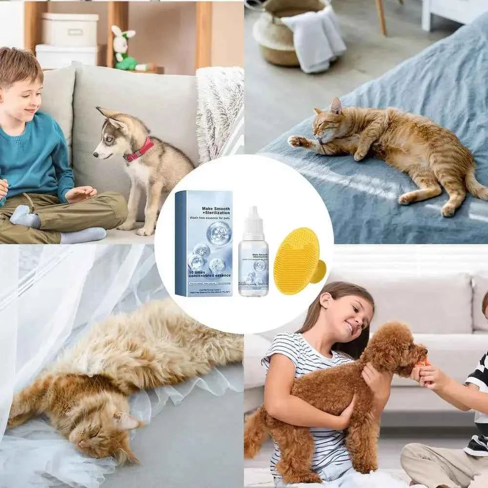 3-in-1 Pet Grooming Steamer Brush: Effortlessly Remove Tangles and Pamper Your Pet