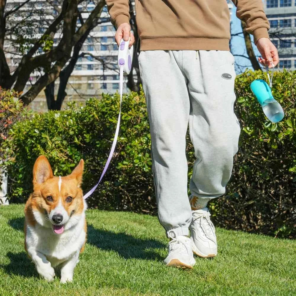 Holapet 300ML Portable Pet Dog Water Bottle – Perfect Hydration for Your Small and Medium Furry Friends