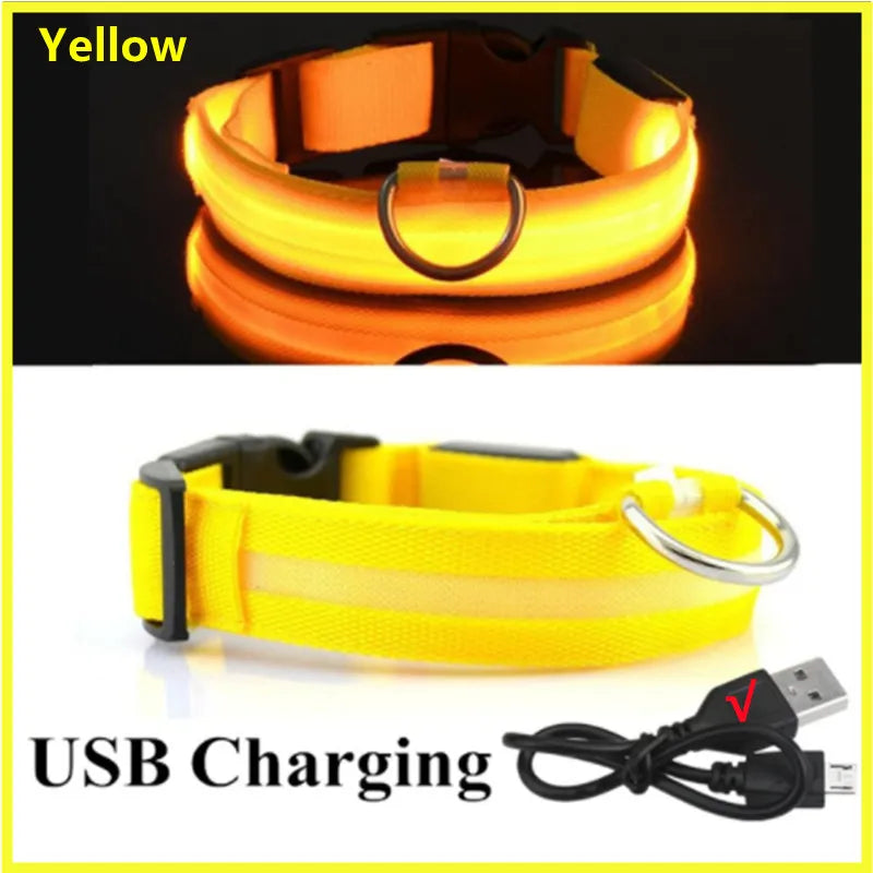 USB Rechargeable Led Glowing Dog Collar