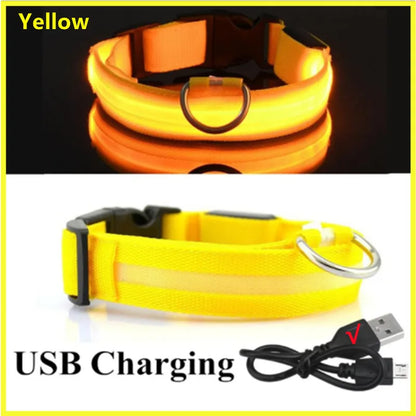 USB Rechargeable Led Glowing Dog Collar