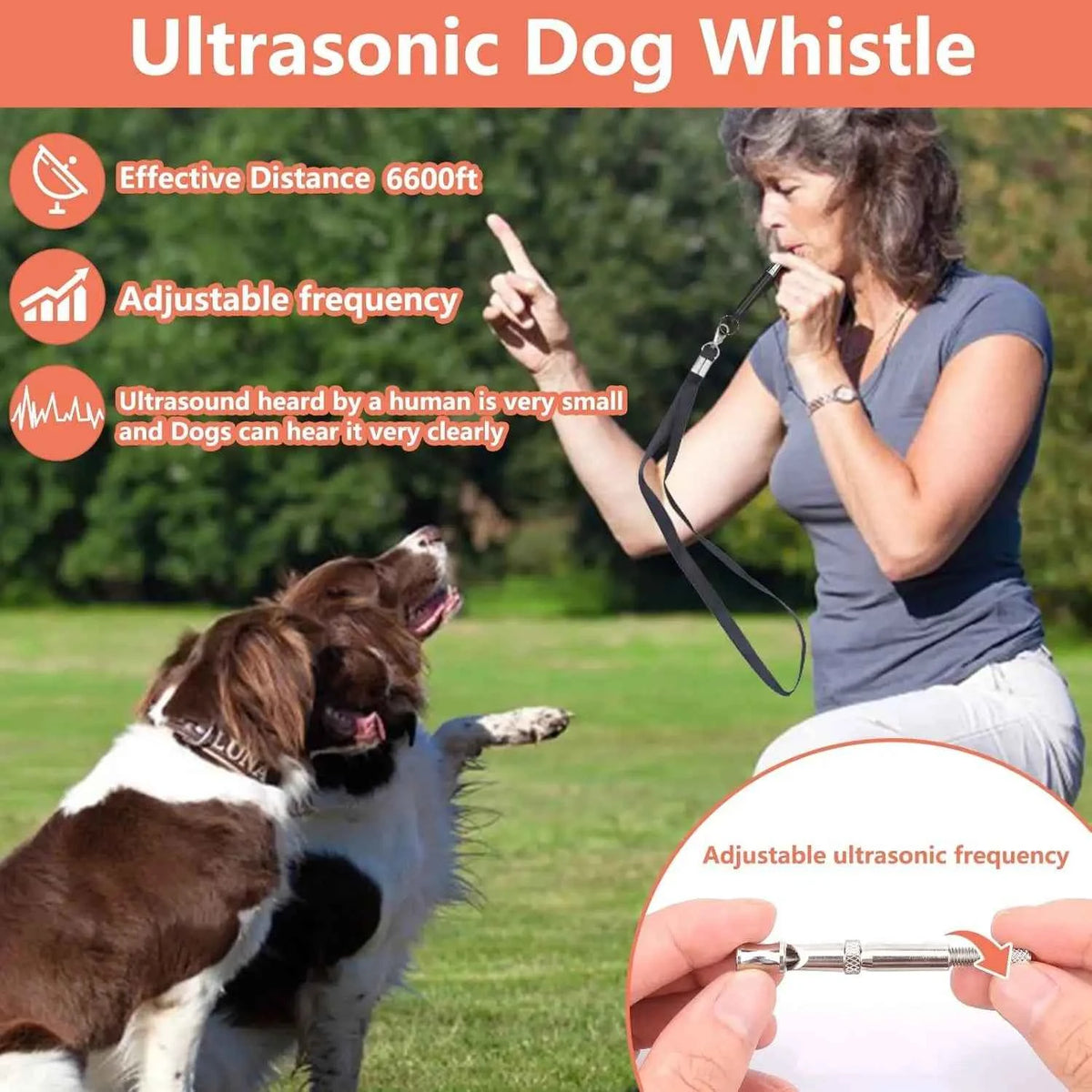 Complete Dog Training Kit: Everything You Need for Effective Training
