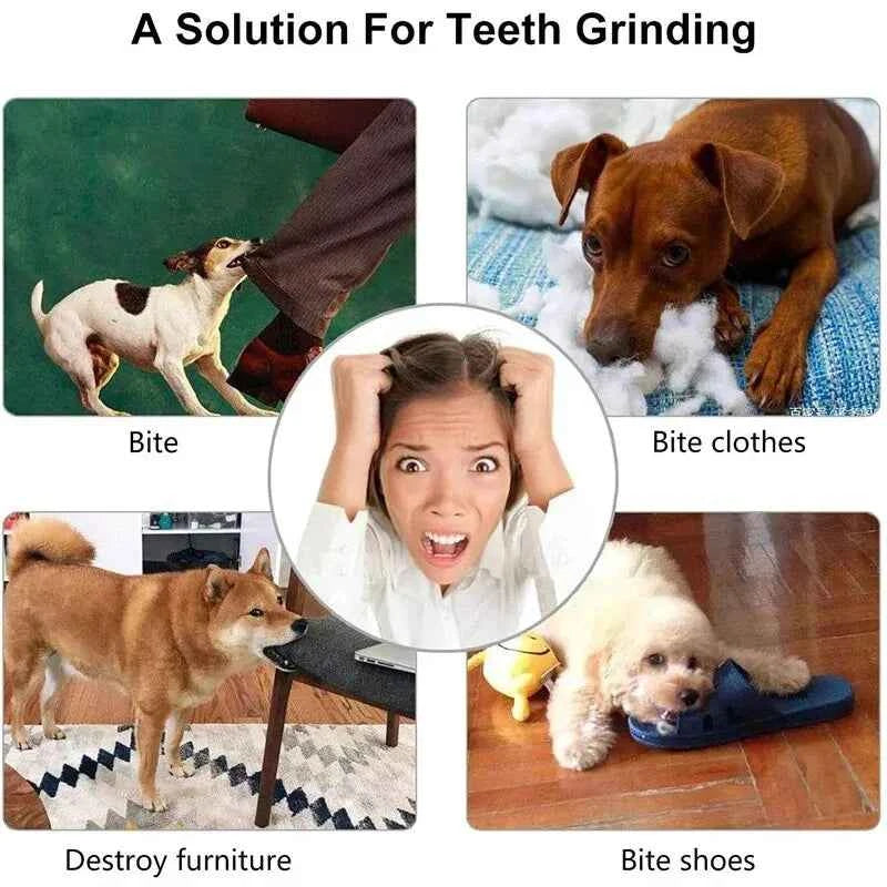 Nontoxic Dog Toy Ball – Safe and Durable Playtime for Your Pet