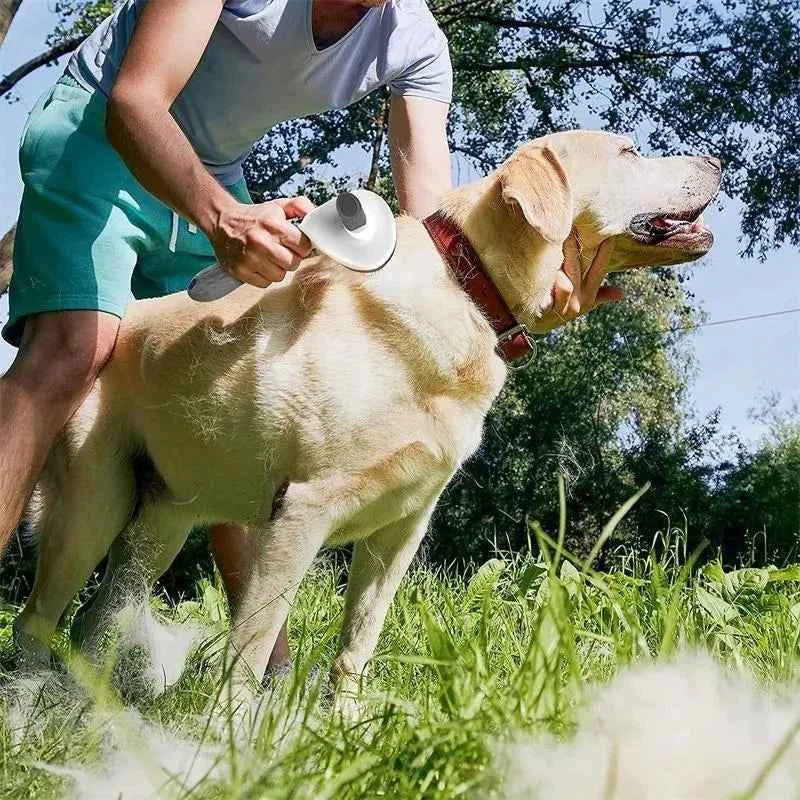 Self-Cleaning Pet Grooming Brush – Effortlessly Maintain a Happy, Healthy Coat for Your Dog or Cat