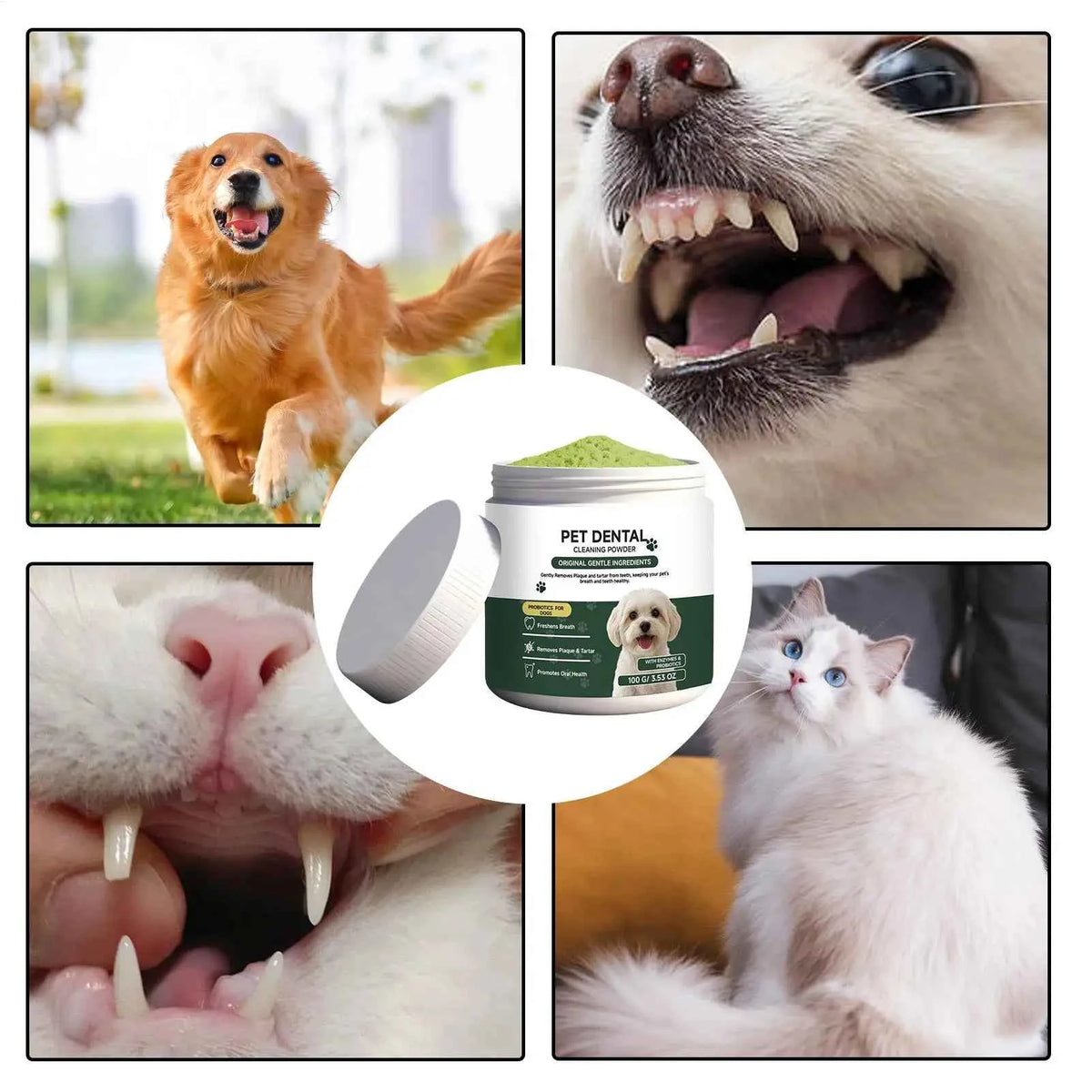Revolutionize Your Dog's Dental Health with Our Premium Dog Dental Care Powder