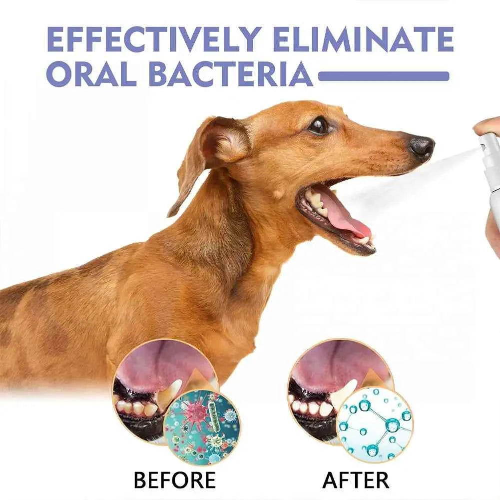 Pet Dental Spray for Fresh Breath – Eliminate Plaque and Tartar Build-Up