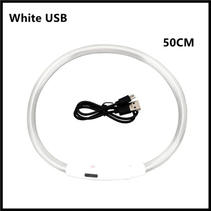 USB Rechargeable Led Glowing Dog Collar