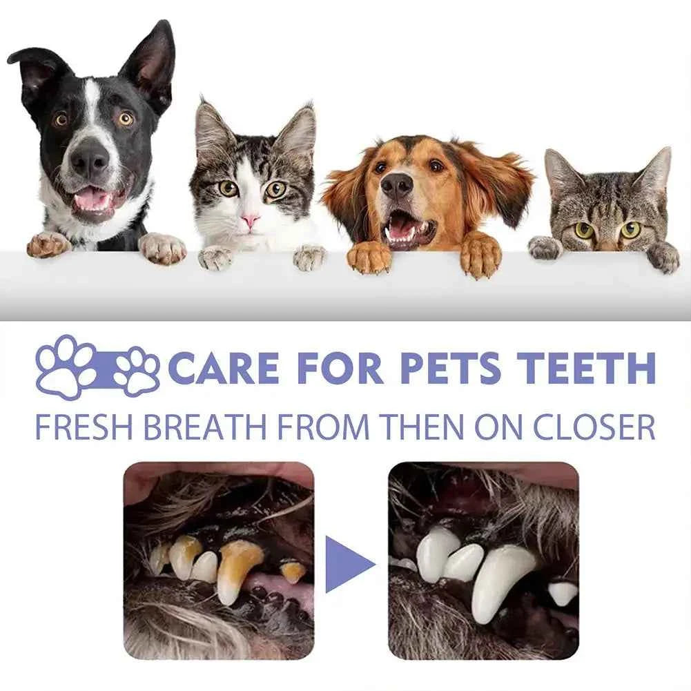 Pet Dental Spray for Fresh Breath – Eliminate Plaque and Tartar Build-Up