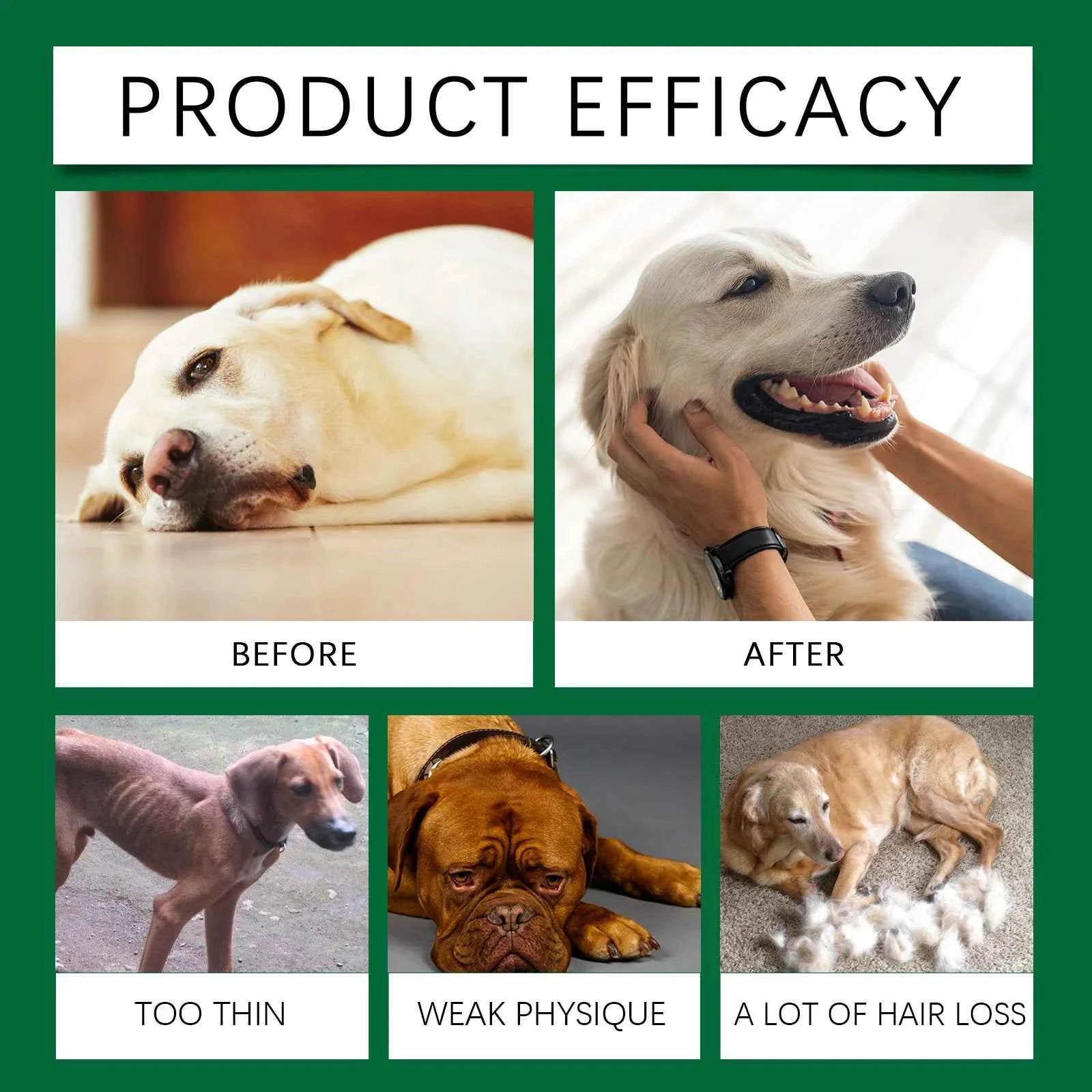 Immune-Boosting Multivitamin for Dogs - Daily Vitality & Skin Comfort in a Gentle 60ml Formula