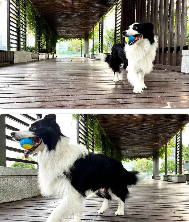 Interactive Dog Toys: Squeaky TPR Ball for Teeth Cleaning and Playtime Fun