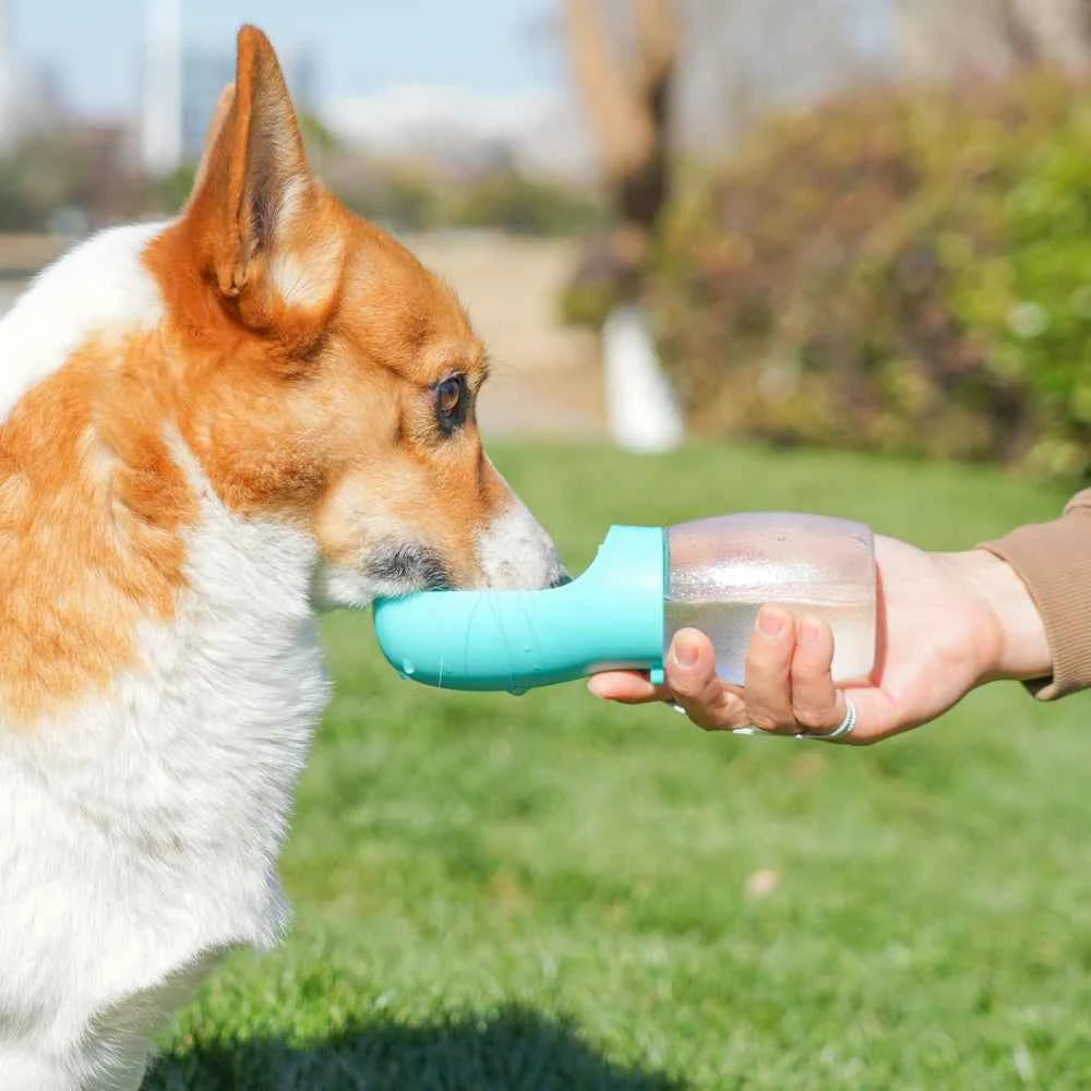 Holapet 300ML Portable Pet Dog Water Bottle – Perfect Hydration for Your Small and Medium Furry Friends