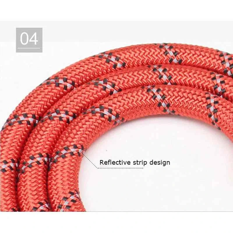 Reflective Dog Leash: Your Ultimate Safety Companion for Evening Walks