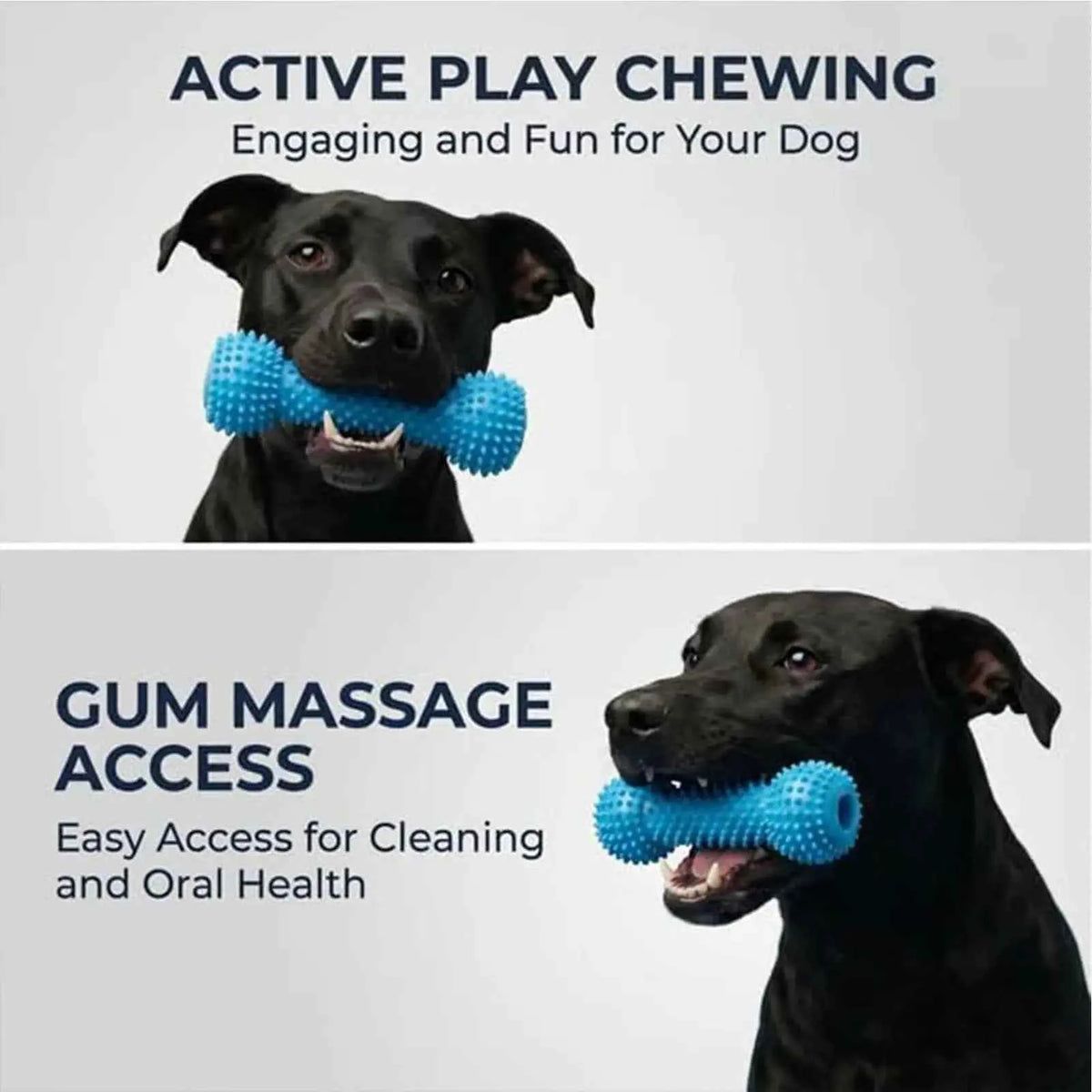 Dog Chew Toy for Teeth Cleaning: Double-Action Rubber Chewer for Happy, Healthy Smiles