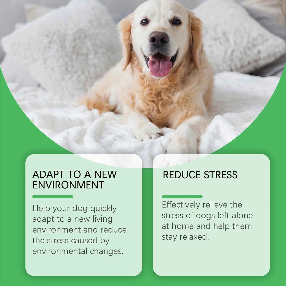 Calm Your Pup with the Dog Emotion Diffuser for Anxiety Relief