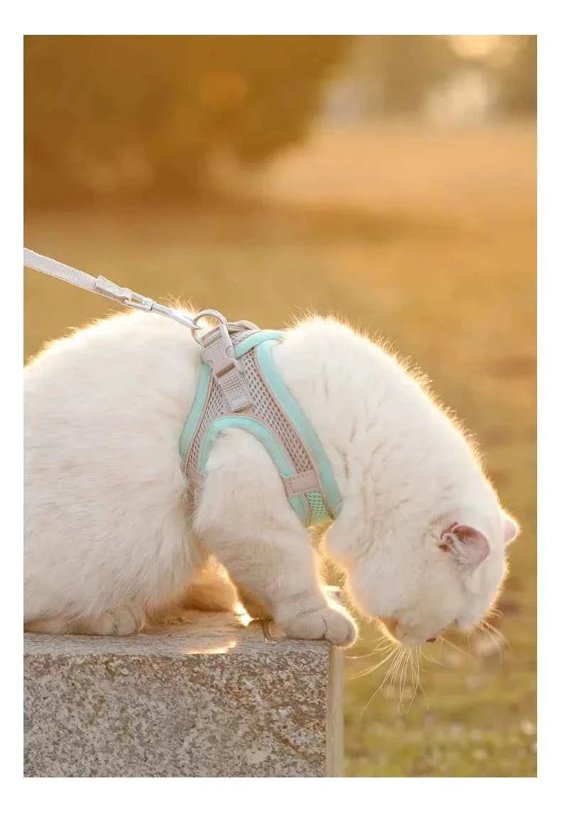 Small Dog Safety Harness - Comfortable & Reflective Pet Vest for Easy Walking