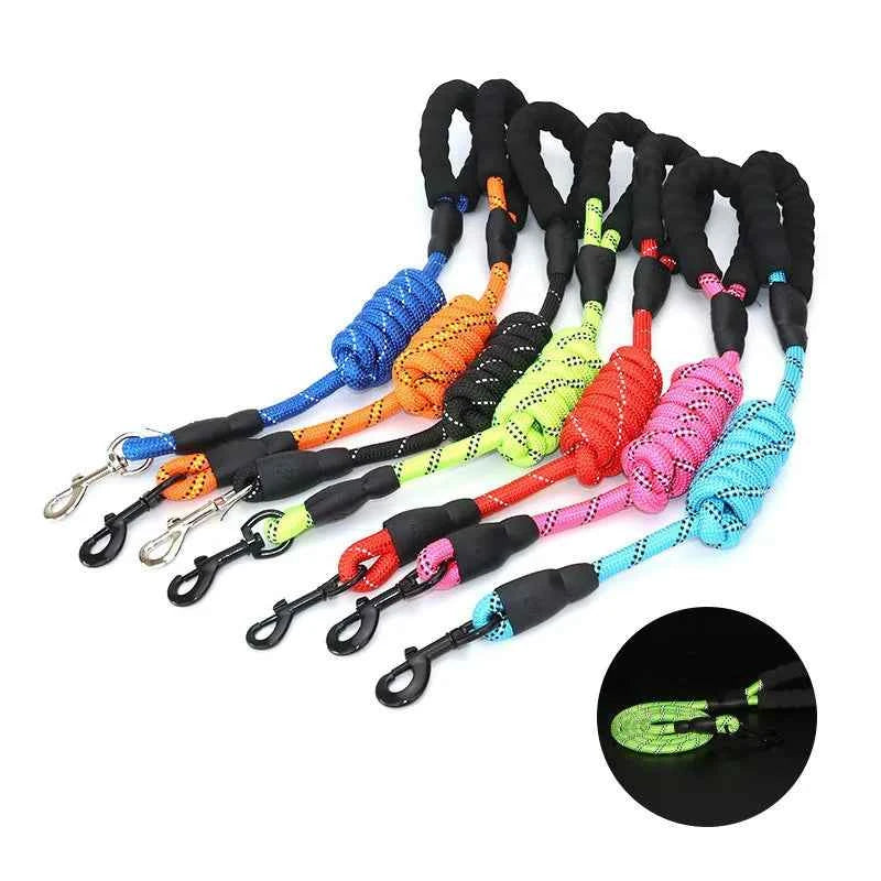 Reflective Dog Leash: Your Ultimate Safety Companion for Evening Walks
