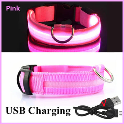 USB Rechargeable Led Glowing Dog Collar