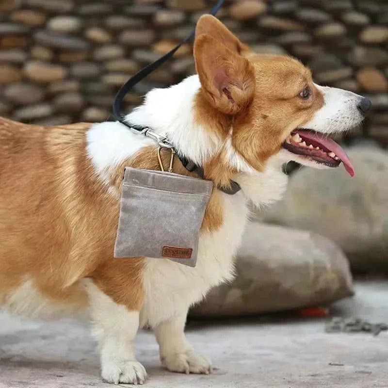 Essential Dog Treat Pouch: Your Portable Companion for Effective Dog Training