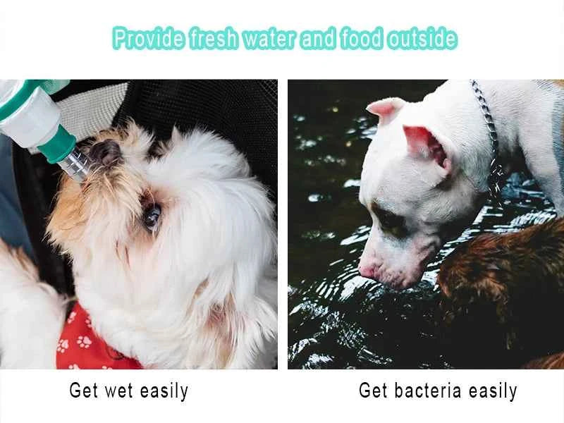 Portable Dog Water Bottle & Food Container: Ultimate Travel Solution for Pets