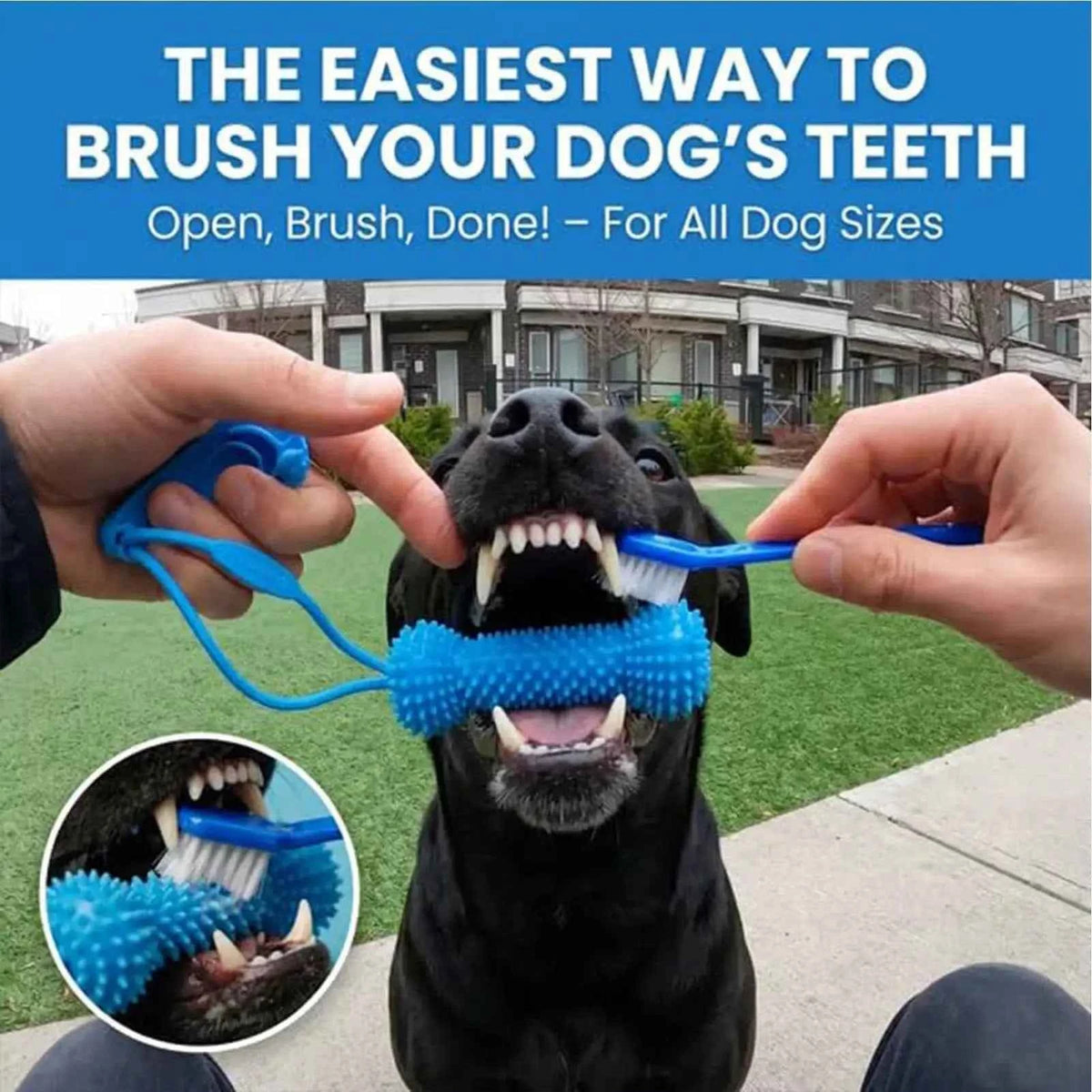 Dog Chew Toy for Teeth Cleaning: Double-Action Rubber Chewer for Happy, Healthy Smiles