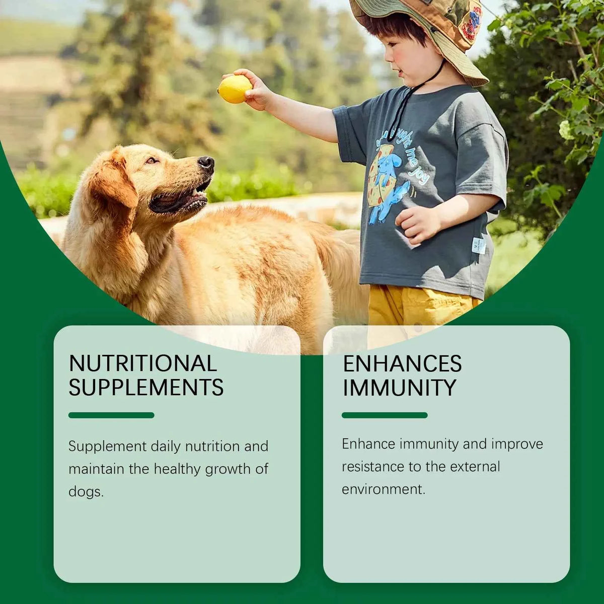 Immune-Boosting Multivitamin for Dogs - Daily Vitality & Skin Comfort in a Gentle 60ml Formula