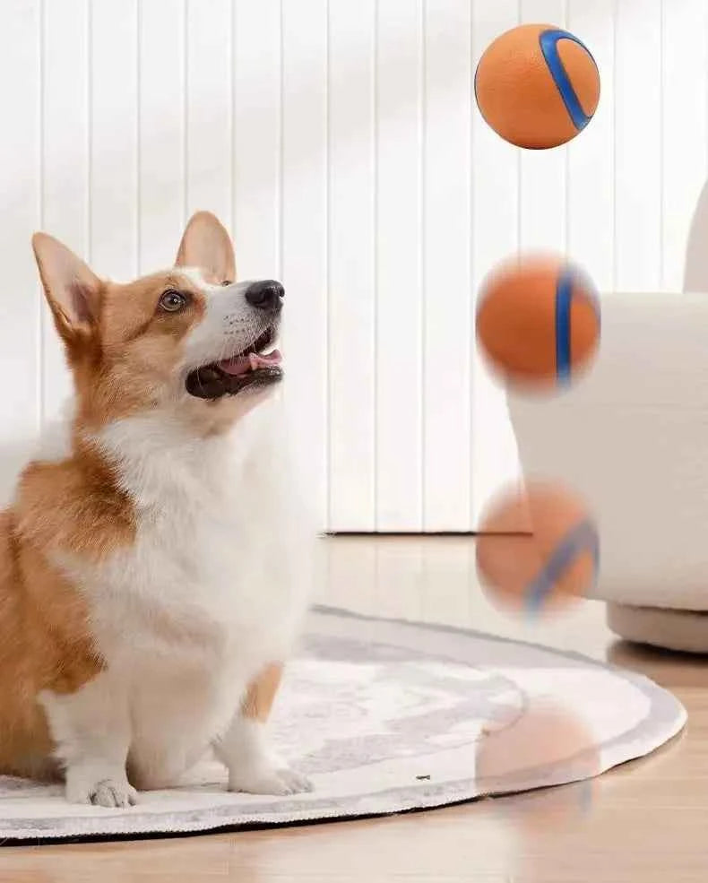 Tough Dog Fetch Ball Toy - Durable, Fun, and Perfect for All Breeds