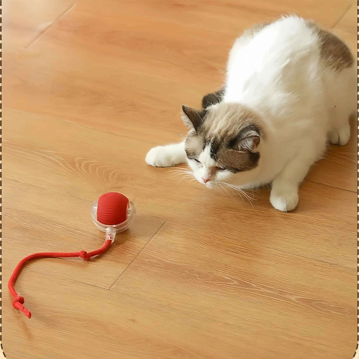 Transform Playtime with the Automatic Dog Walking Ball – Keep Your Pup Happy and Active!
