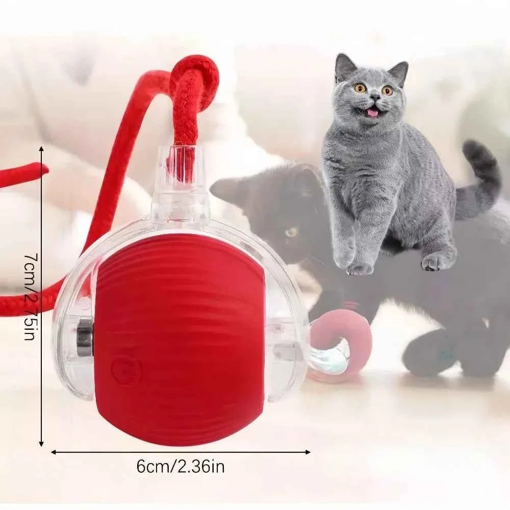 Transform Playtime with the Automatic Dog Walking Ball – Keep Your Pup Happy and Active!