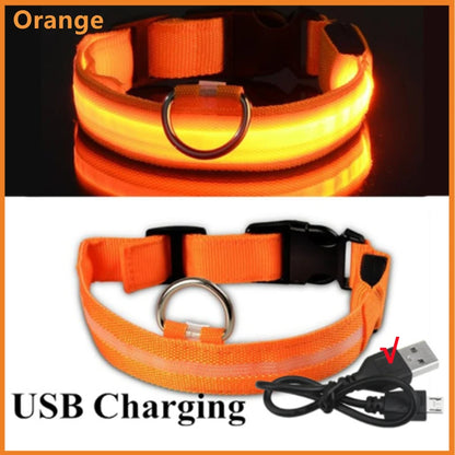 USB Rechargeable Led Glowing Dog Collar