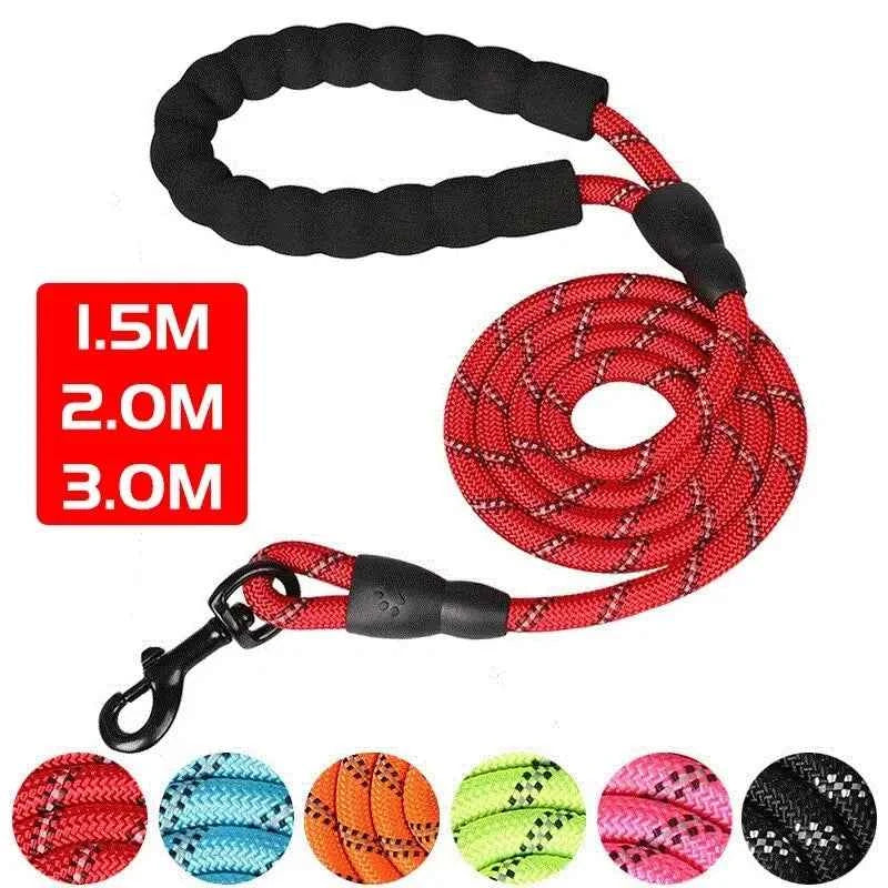 Reflective Dog Leash: Your Ultimate Safety Companion for Evening Walks