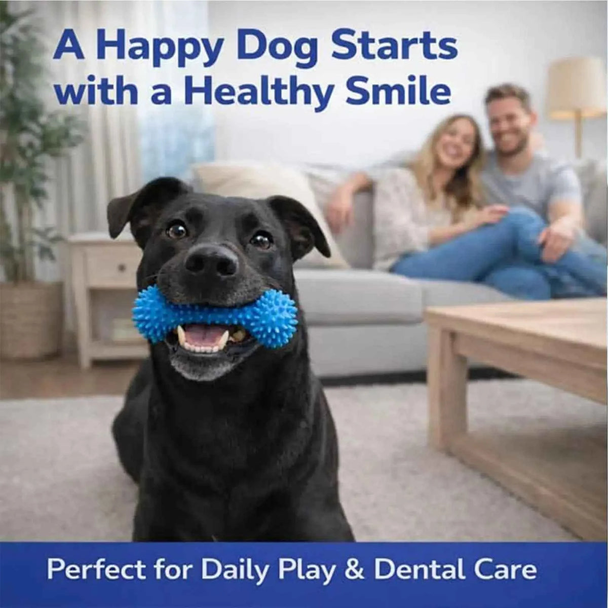 Dog Chew Toy for Teeth Cleaning: Double-Action Rubber Chewer for Happy, Healthy Smiles