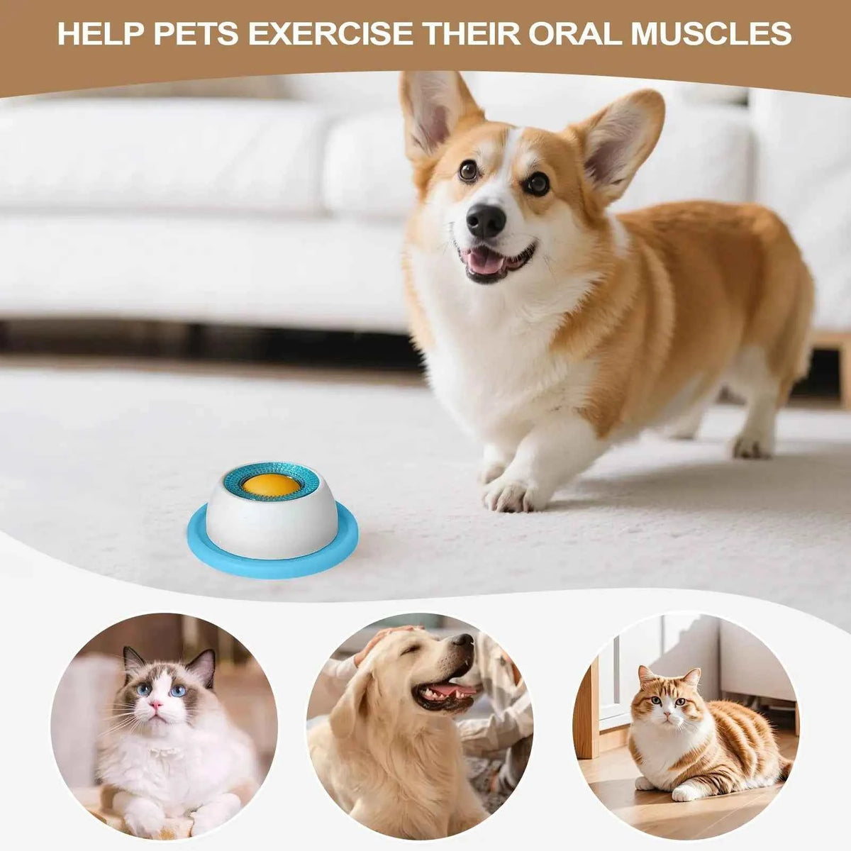 Anti-Overturning Dog Licking Toy – The Ultimate Feeding Adventure for Your Pets